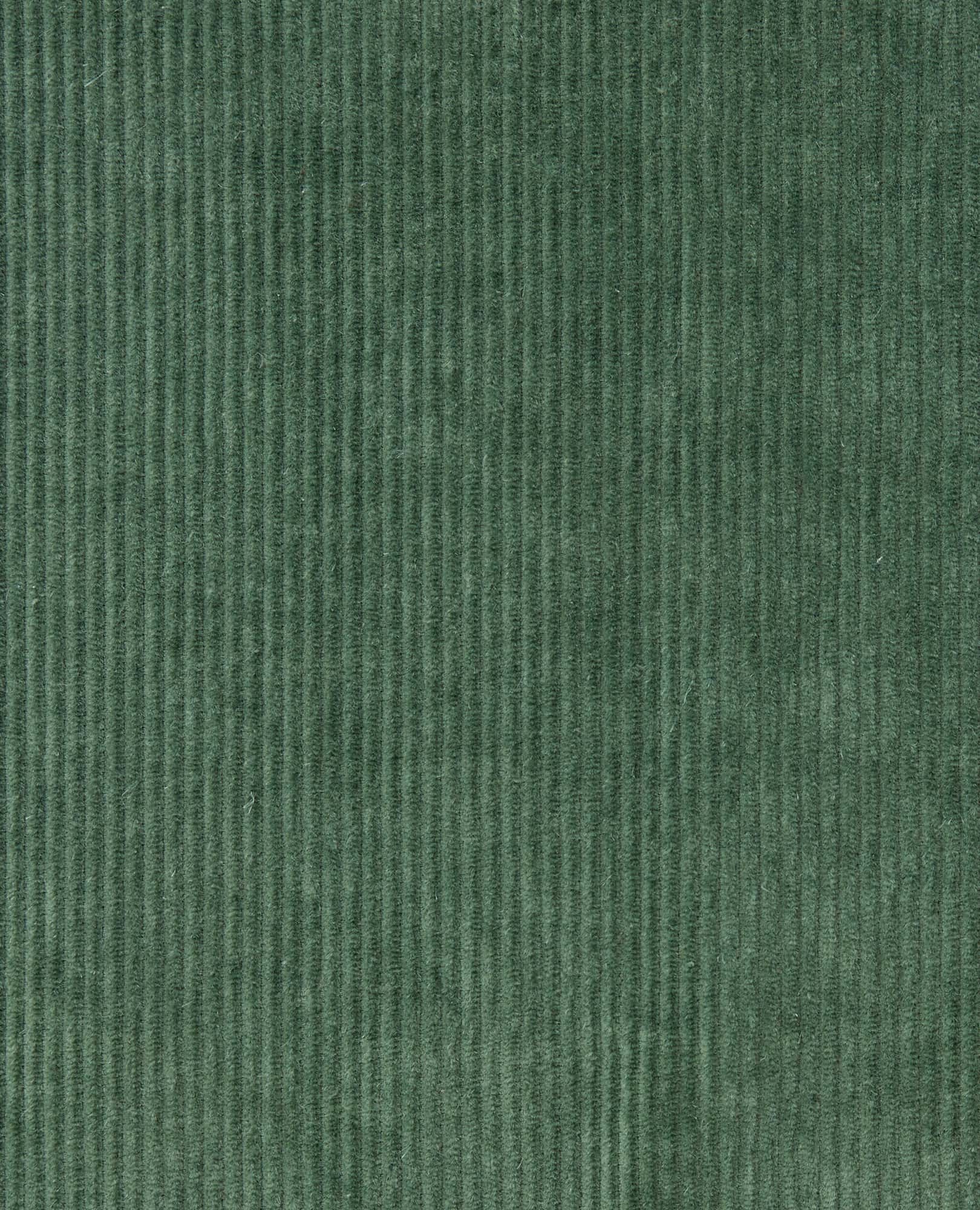 Cascadia Jumper - Coyean